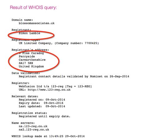 How to see whois of a domain